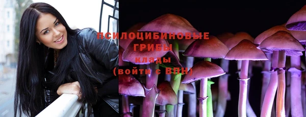 кокс Дубна