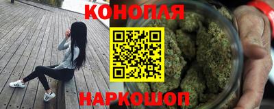 прущие грибы Абинск