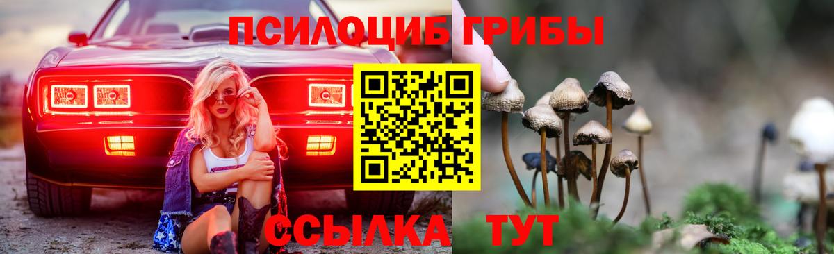 Галлюциногенные грибы Psilocybine cubensis Кимовск